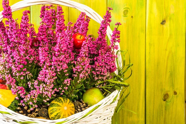 Цветок вереска в корзине, осенние цветы фон, потрепанный шикарный деревенский узор — стоковое фото