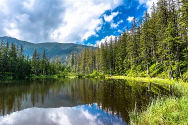 Polonya, yaz manzara orman, Tatra Dağları Milli Parkı içinde dağ gölü