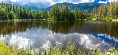 Polonya, yaz manzara orman, Tatra Dağları Milli Parkı içinde dağ gölü