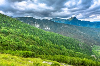 Yeşil orman ve dağlar, panorama gökyüzünde dağın tepesinde ile