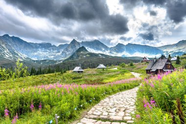 Dağ hiking trail Tatra Dağları, yaz peyzaj içinde