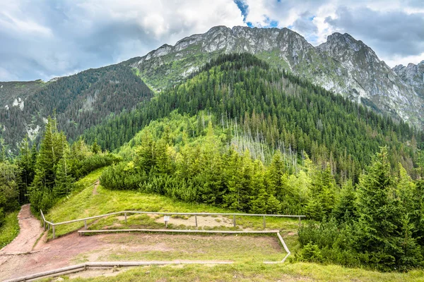 Panoramautsikt över vista över bergen. Landskap med klippiga berg, montera Giewont och skogen runt vandringsled — Stockfoto