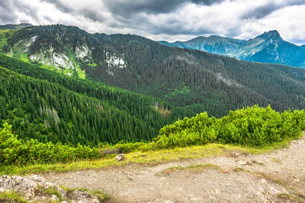 Paysage de la forêt couverte de montagnes, vue du sentier de randonnée dans les Carpates — Photo