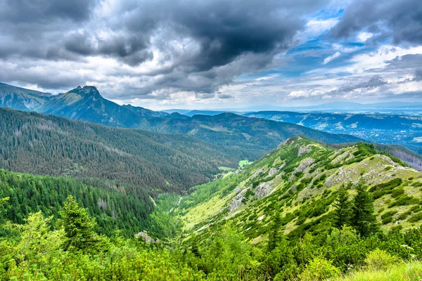 Panorama doliny i góry, polskie Tatry — Zdjęcie stockowe