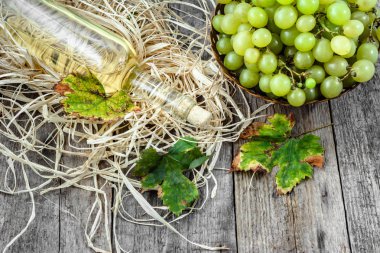 Yeşil üzüm gelen beyaz şarap şişesi. Yaşlı ahşap kiler içinde ev yapımı şarap.