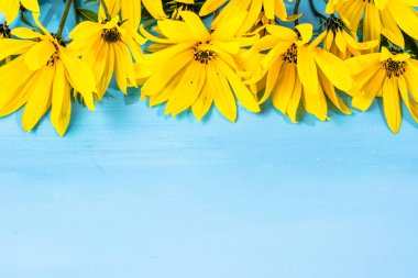 Arka plan bahar çiçekleri, kopya alanı ile çerçeve