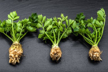 Kök kereviz ve SAP, siyah arka plan, sağlıklı beslenme kavramı üzerine yeşil sebzeler