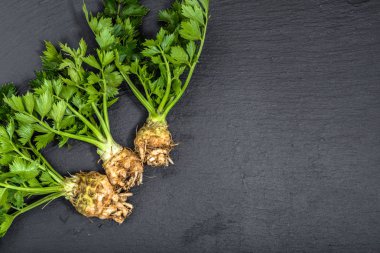 Kereviz, yeşil sebze, organik gıda siyah arka plan üzerine yerel piyasadan kökleri