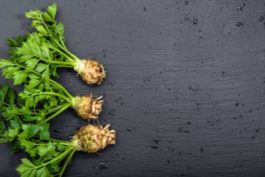 Kök kereviz yaprakları siyah arka plan, yerel Pazar, çiftlik üretmek, kopya alanı sebze ile