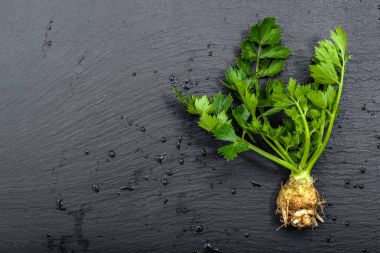 Ampul kereviz yaprakları ile yerel pazar sebze, çiftlik taze üretmek, organik gıda vejetaryen diyet