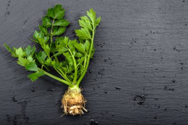 Taze selery yaprakları, Tepegöz, yerel pazar sebze ile çiftlik taze üretmek, organik gıda vejetaryen diyet