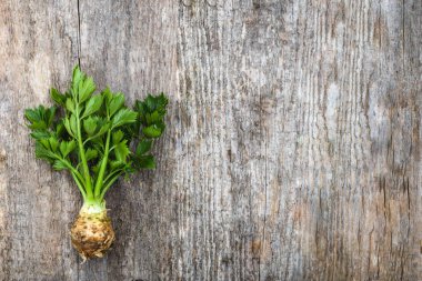 Kereviz yaprakları ile ahşap rustik arka plan, kopya alanı üzerinde yerel piyasadan çiftlik taze sebze ampul