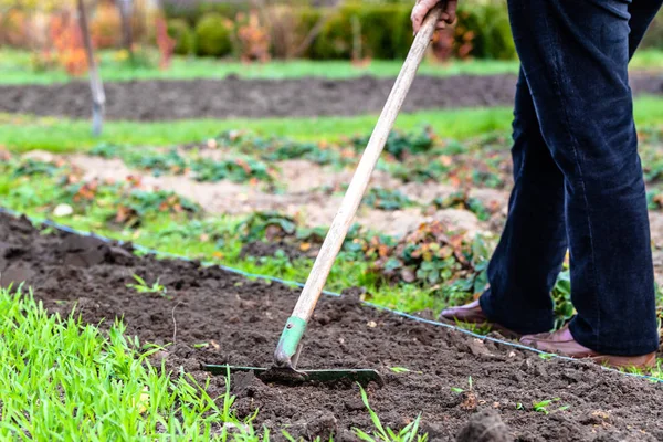 Donna giardiniere rastrello terreno. Preparazione orto per la semina in primavera . — Foto Stock