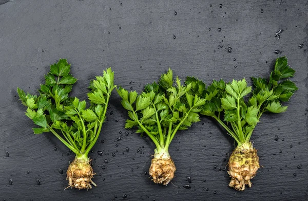 Roots of celery, green vegetables, local market produce on dark background — Stock Photo, Image