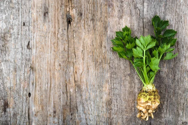 Üstten Görünüm kereviz yaprakları ile yerel pazar sebze tarım taze üretmek, metin alanı