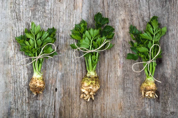 Yumru kereviz yaprakları, yerel pazar sebze, çiftlik taze ürün, organik gıda, vegan diyet kavramı ile