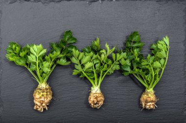 Üstten Görünüm kereviz yaprakları, düz yatıyordu ile yerel pazar sebze çiftlik taze üretmek, organik gıda vejetaryen diyet