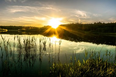 Gün batımı göl, güneş düşmek ormanda