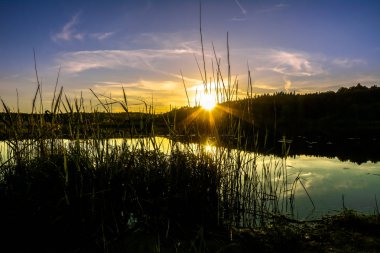 Gün batımı göl, güneş düşmek ormanda