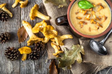 Cantharellus cibarius krem, mantar çorbası, ahşap tabl üzerinde Üstten Görünüm