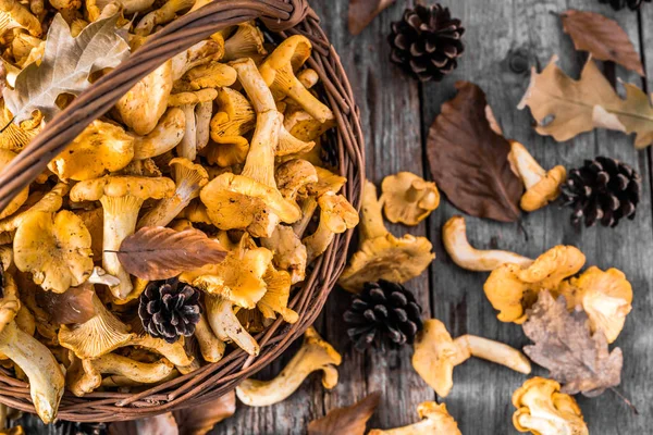 Frische Pfifferlinge im Korb auf Holztisch — Stockfoto