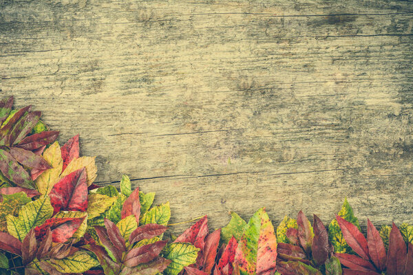 Autumn border, wallpaper with fallen leaves on wooden background