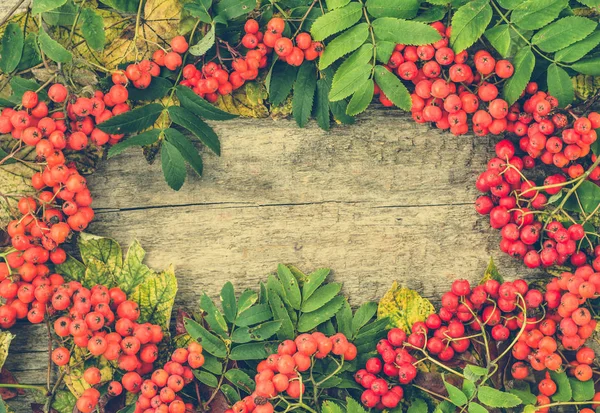 Vintage cornice autunno da frutti di bosco di sorbo su sfondo di legno, Giorno del Ringraziamento concetto — Foto Stock