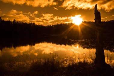 Göl manzara sonbahar, günbatımı gökyüzü ve güneş ışınları orman, vahşi doğa silüeti üzerinde