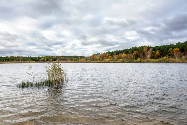 Облачный осенний пейзаж с озером и лесом — стоковое фото
