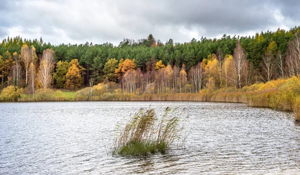 Paesaggio lacustre e foresta autunnale con alberi colorati — Foto Stock