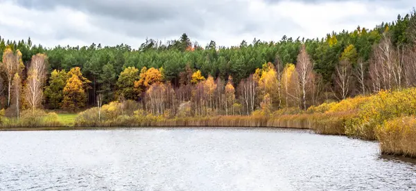 Lago salvaje panorama y bosque otoñal con árboles coloridos, paisaje escénico — Foto de Stock