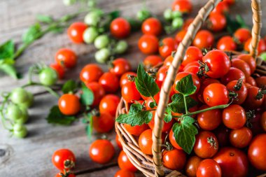 Small tomatoes called cherry tomato in the basket on wooden table, fresh organic vegetables freshly harvested from local farmers clipart