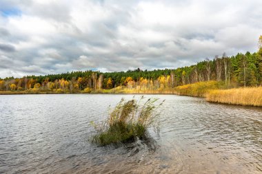 Göl manzara sonbahar, bulutlu havalarda