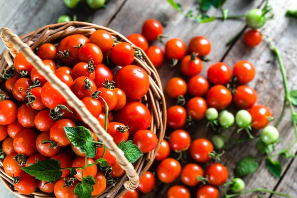 Cesta de tomate chamado tomate cereja no fundo de madeira, produtos frescos na mesa da cozinha, vista superior — Fotografia de Stock