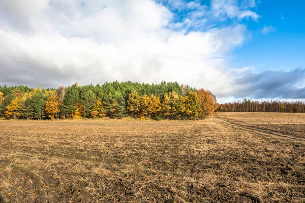 Paysage du champ d'automne et des terres labourées, vue panoramique agricole de la forêt éclairée par la lumière du soleil et le ciel nuageux — Photo