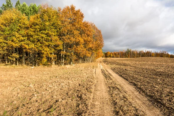 Köy yolunda arazi ve sonbahar, manzara sürülmüş alana — Stok fotoğraf