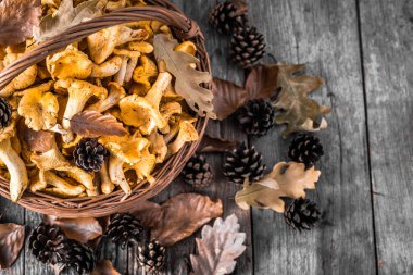 Ahşap masa üzerinde bir sepet içinde taze chanterelles mantar