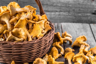 Ahşap masa üzerinde bir sepet içinde taze chanterelles mantar