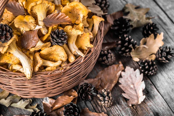 Frische Pfifferlinge im Korb auf Holztisch — Stockfoto