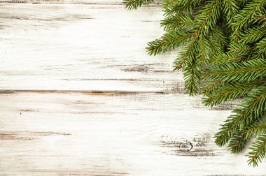 Ahşap arka plan üzerinde Noel Ladin şube