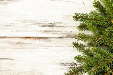 Yeşil çam ağacı, Noel arka plan, metin için boş yer