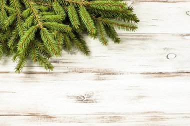 Yeşil çam ağacı, Noel arka plan, metin için boş yer