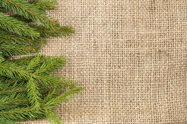 Yeşil çam ağacı, Noel arka plan, metin için boş yer