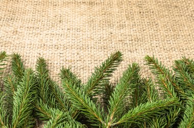 Rustik zemin üzerine yeşil Noel ağacı dalı