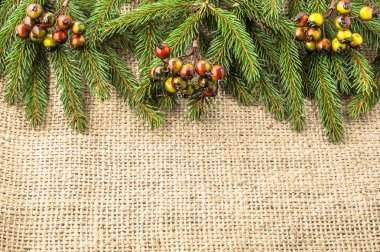 Köknar ağacı dalı ve dekorasyon Noel arka plan 