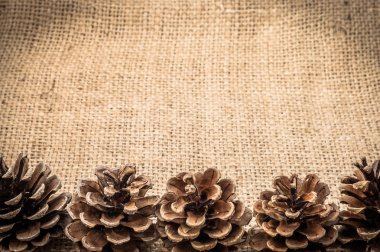 Çam kozalakları Noel çerçeve