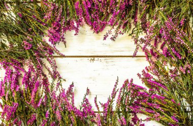 Heather çiçekler, sonbahar arka plan, eski püskü şık çerçeve