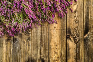 Heather çiçekler, sonbahar arka plan, çerçeve çiçek