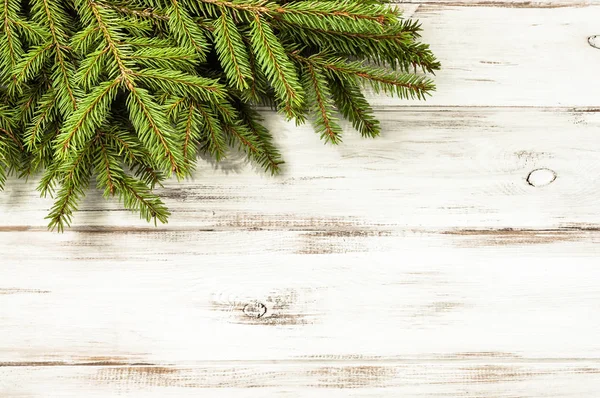 Yeşil çam ağacı, Noel arka plan, metin için boş yer