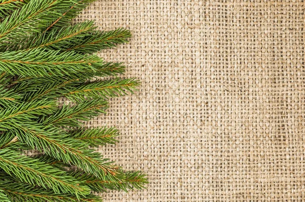 Grüner Weihnachtsbaumzweig auf rustikalem Hintergrund — Stockfoto
